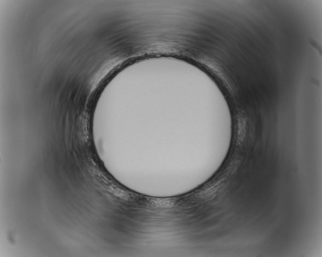 X0000098190878200805221515