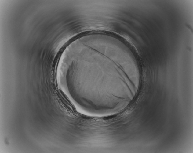X0000098190879200805221515