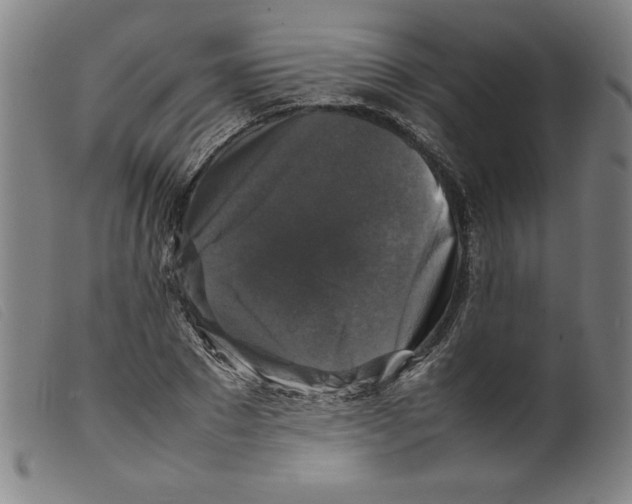 X0000098190881200805221515