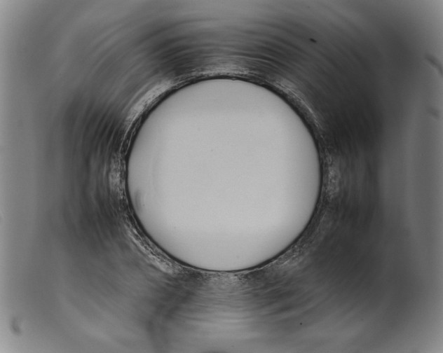 X0000098190882200805221515