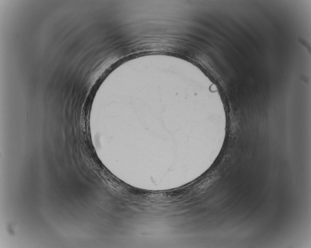 X0000098190883200805221515