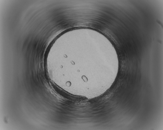 X0000098190884200805221515