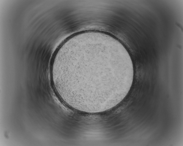 X0000098190888200805221515