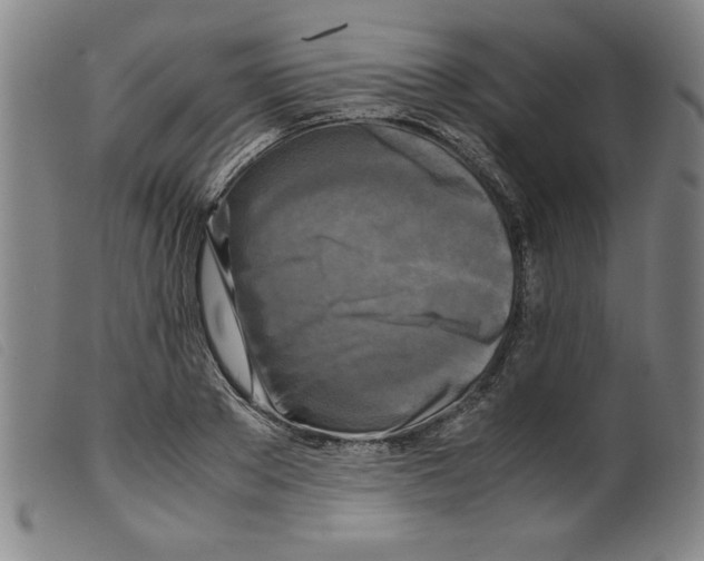X0000098190889200805221515