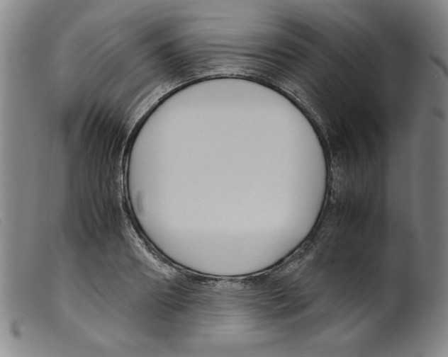 X0000098190890200805221515