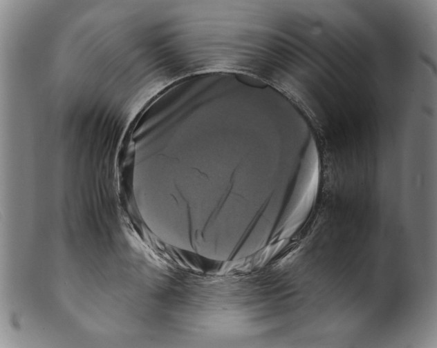 X0000098190892200805221514