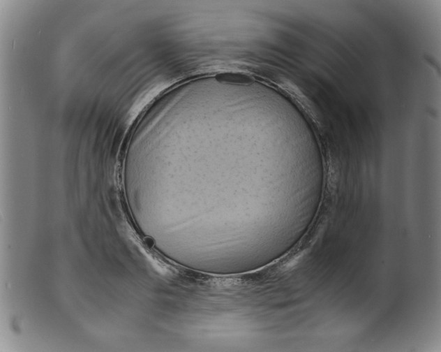 X0000098190893200805221514