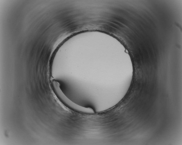 X0000098190894200805221514