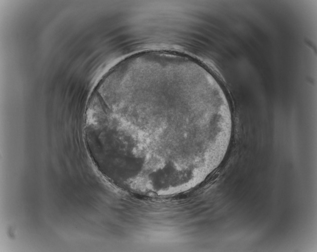 X0000098190895200805221514