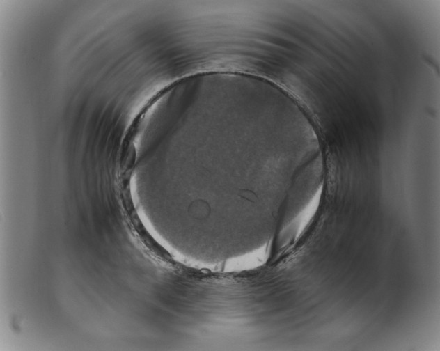 X0000098190896200805221514