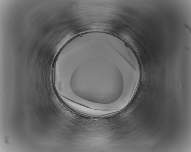 X0000098190899200805221514