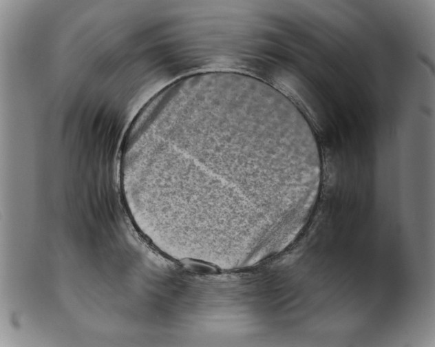 X0000098190900200805221514