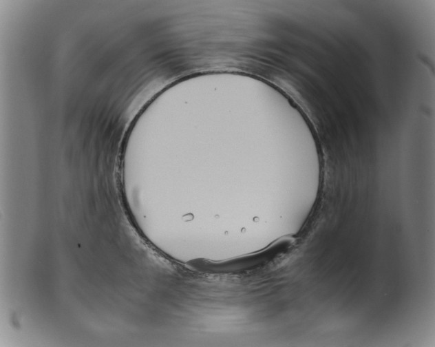 X0000098190901200805221514