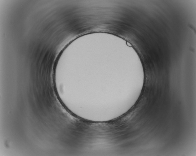 X0000098190902200805221514