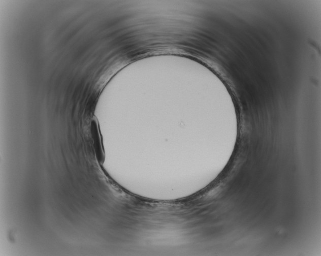 X0000098190905200805221514