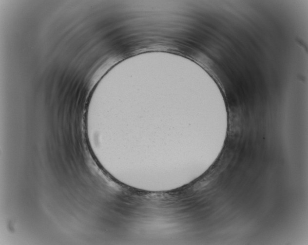 X0000098190906200805221514