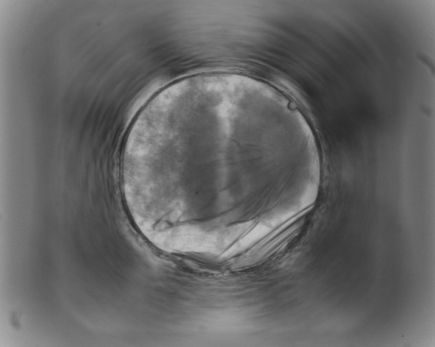 X0000098190907200805221514