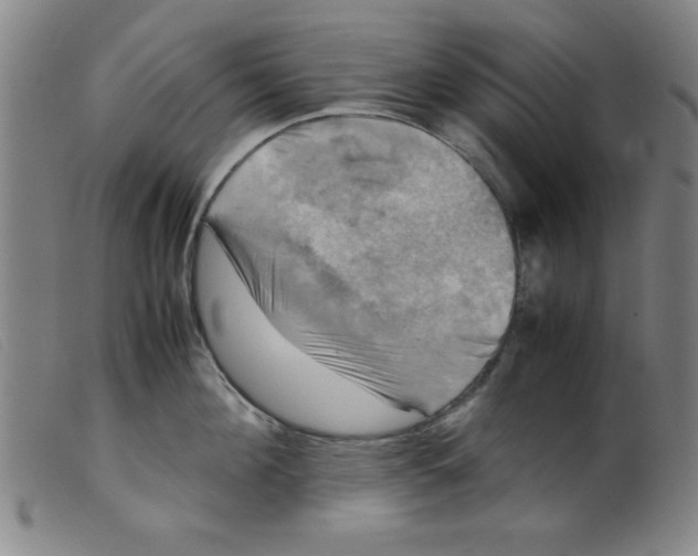 X0000098190908200805221514