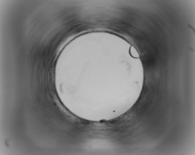 X0000098190911200805221514