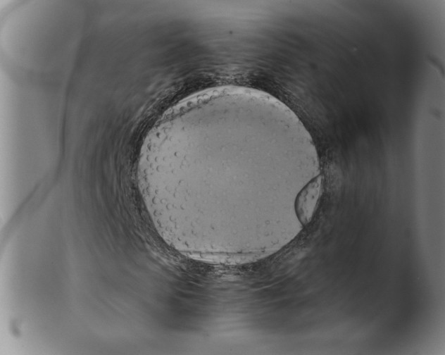 X0000098190913200805221513