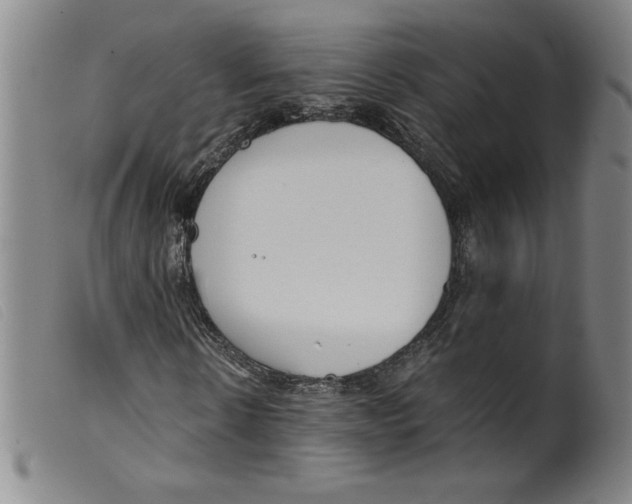 X0000098190914200805221513