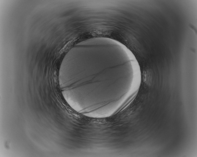 X0000098190915200805221513