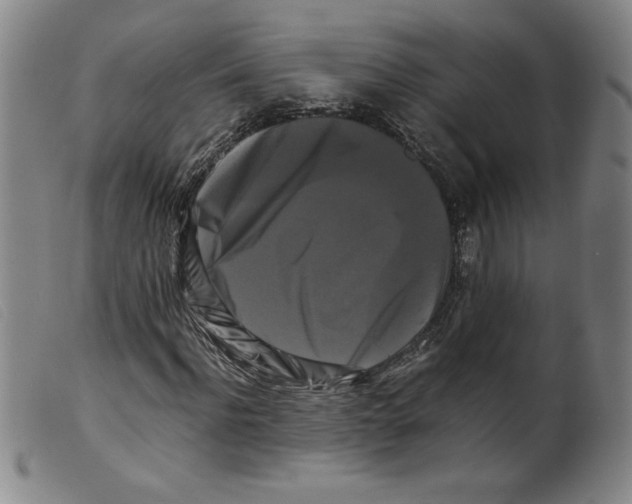 X0000098190916200805221513