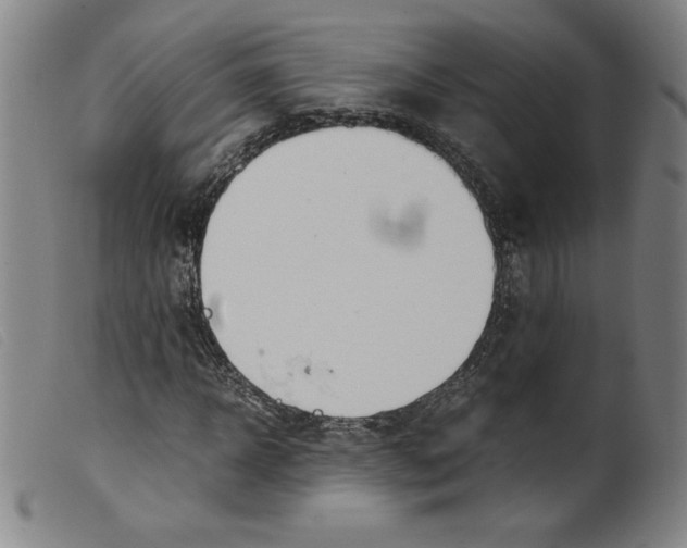 X0000098190918200805221514
