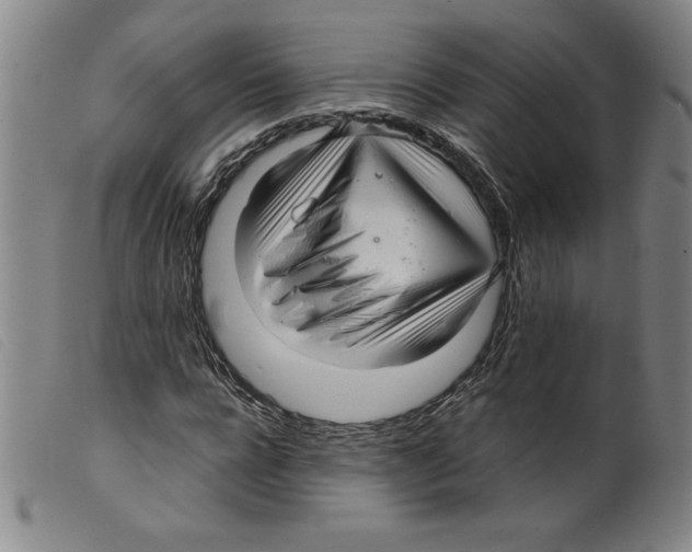 X0000098190920200805221514