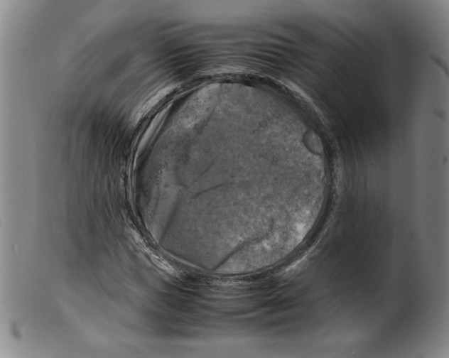 X0000098190921200805221514