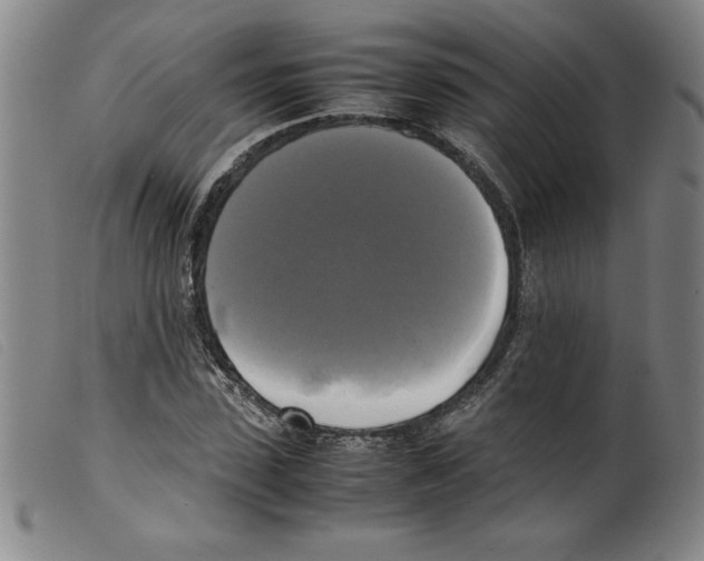 X0000098190923200805221514
