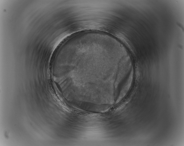 X0000098190924200805221514