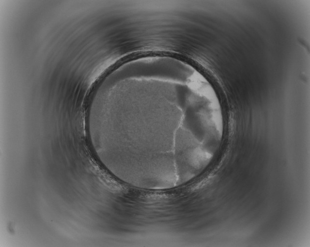 X0000098190925200805221514
