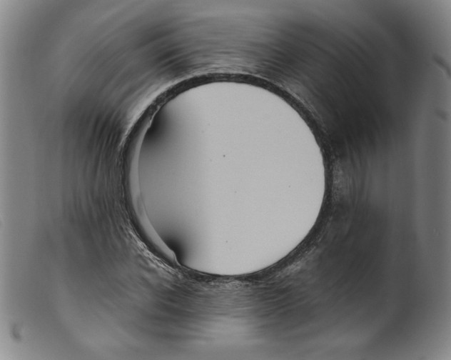 X0000098190926200805221514