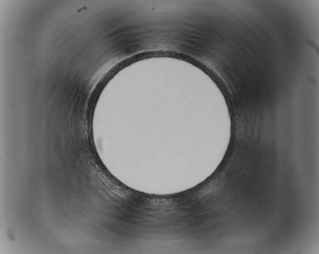 X0000098190927200805221514