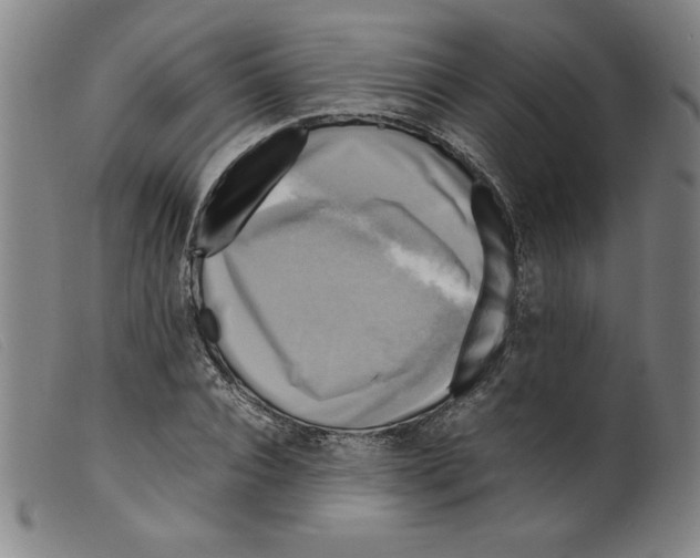 X0000098190928200805221514