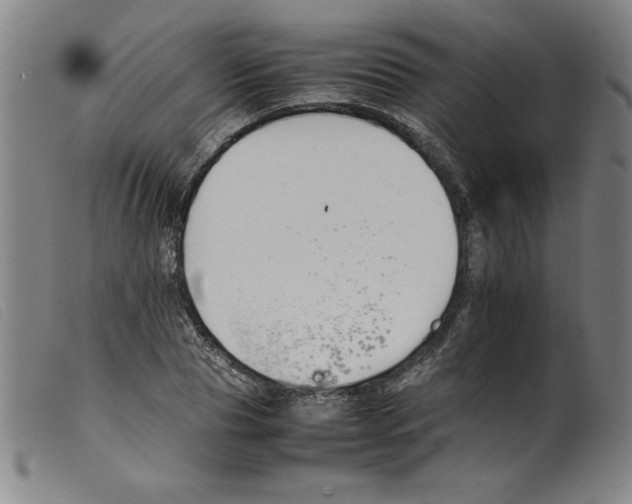 X0000098190929200805221514