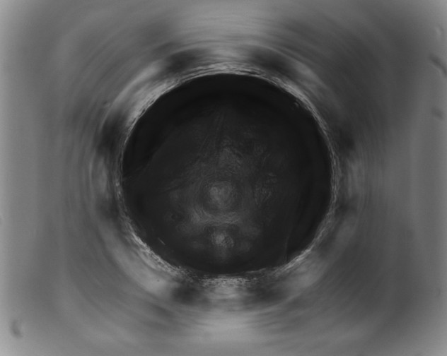 X0000098190930200805221514