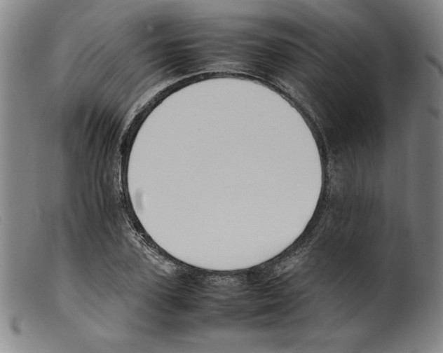 X0000098190931200805221514