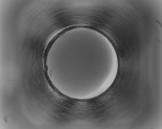 X0000098190935200805221514