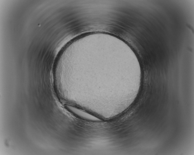 X0000098190936200805221514