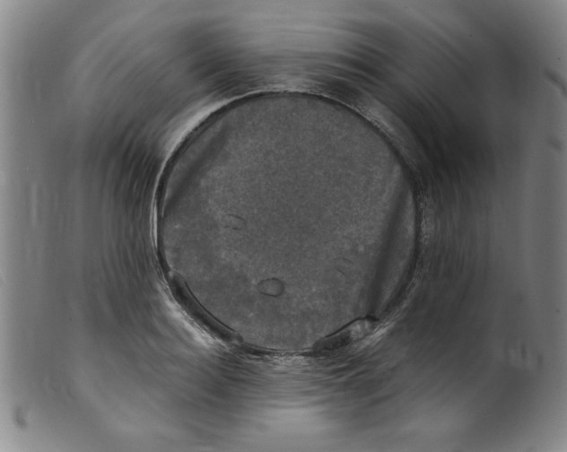 X0000098190940200805221514