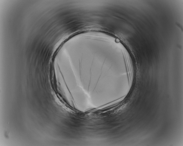 X0000098190941200805221514