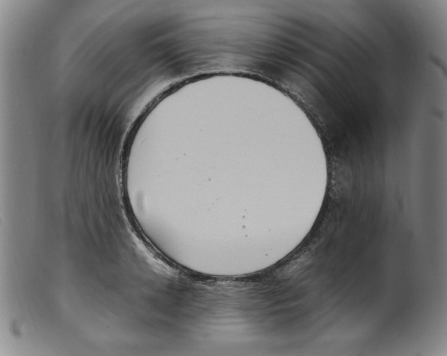 X0000098190942200805221514