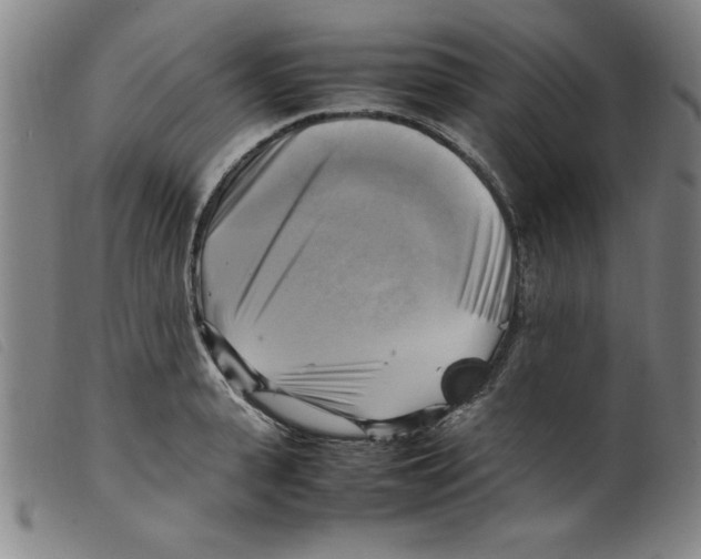 X0000098190943200805221514