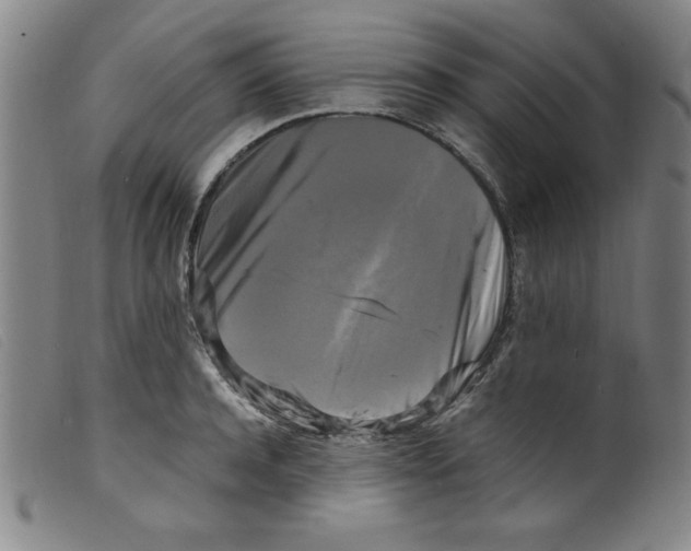 X0000098190944200805221514