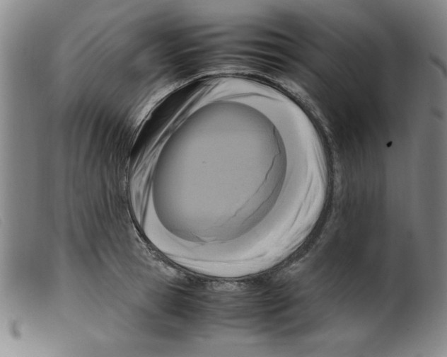 X0000098190945200805221514