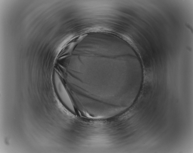 X0000098190946200805221514
