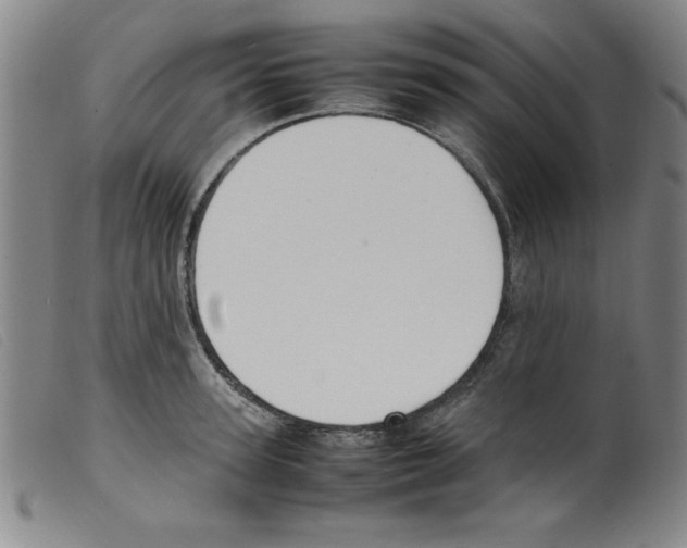X0000098190947200805221514