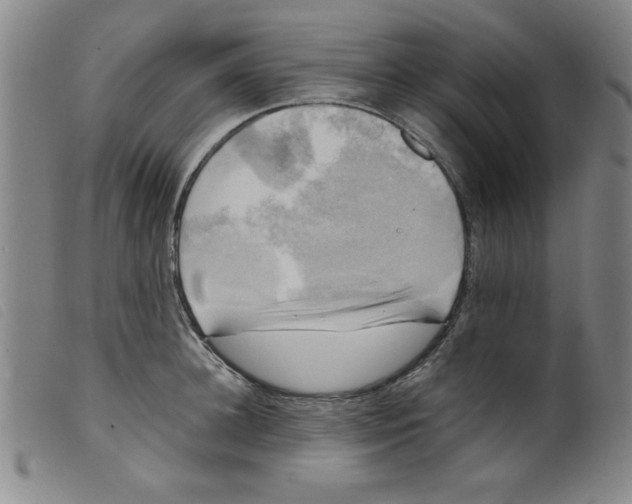 X0000098190948200805221514